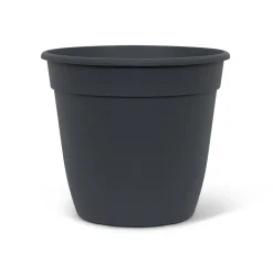 Pot essential 24cm|ohgreen Sale