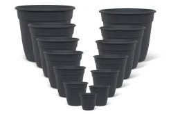 Pot essential 12cm|ohgreen Best