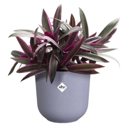 Pot jazz rond 14cm lavendel lila|ohgreen Clearance