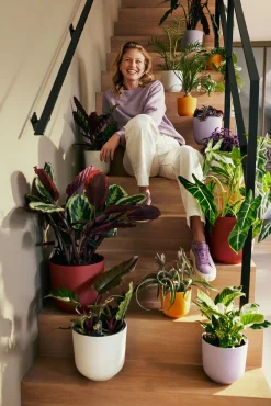 Pot jazz rond 16cm lavendel lila|ohgreen New