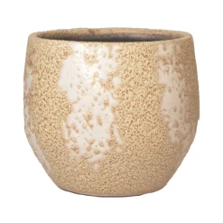 Pot mist|ohgreen Discount