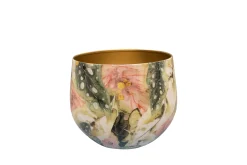 Pot monstera mystery d21 h17|ohgreen