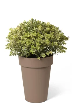 Pot rond happy hoog 40h 50 taupe|ohgreen Sale