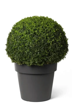 Pot rond happy met wielen 50h 41 antraciet|ohgreen Outlet
