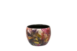 Pot sweet magnolia d7 h6|ohgreen Sale