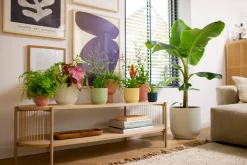 Pot vibes fold 7cm delicate roze|ohgreen Hot