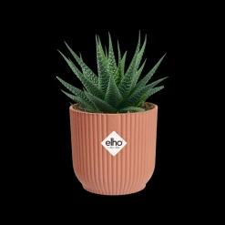 Pot vibes fold 7cm delicate roze|ohgreen Hot