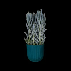 Pot vibes fold 25cm diepblauw|ohgreen Discount