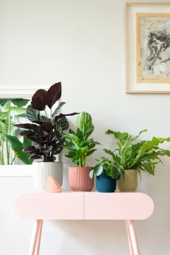 Pot vibes fold 18cm zijdewit|ohgreen Online