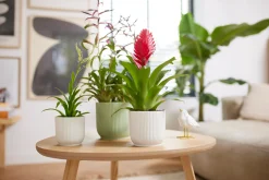 Pot vibes fold 25cm zijdewit|ohgreen Sale