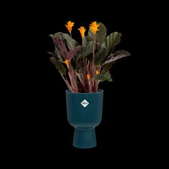 Pot vibes fold coupe 14cm diepblauw|ohgreen