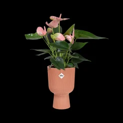 Pot vibes fold coupe 14cm delicate roze|ohgreen Clearance