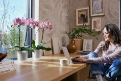 Pot Vibes fold orchidee|ohgreen Clearance