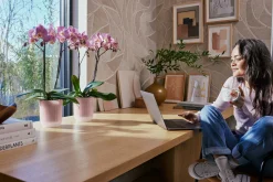 Pot Vibes fold orchidee|ohgreen Hot