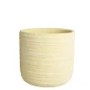 PRIMROSE Orch pot D14|ohgreen Online