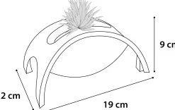 Ps roller crazy bridge|ohgreen Hot