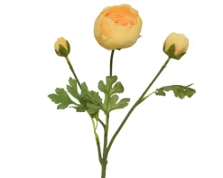 Ranonkel|ohgreen Discount