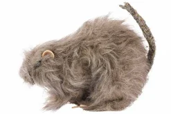 Rat harig|ohgreen Online