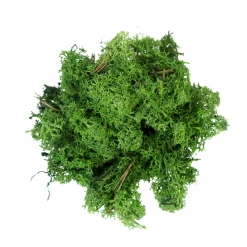Rendiermos donkergroen 50g|ohgreen Clearance