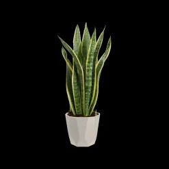 ROCK 18CM WARM GRIJS|ohgreen New