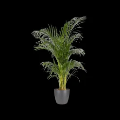 Rond 25cm|ohgreen New