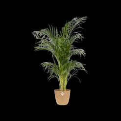 Rond 18cm|ohgreen Outlet