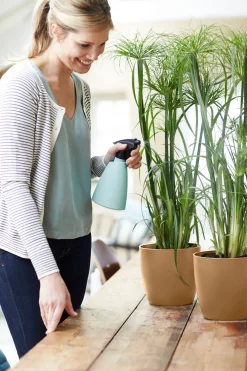 Rond 14cm|ohgreen New