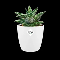 Rond 9,5cm|ohgreen New