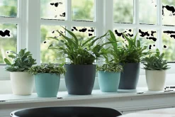 Rond 16cm|ohgreen Best