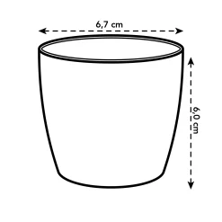 Rond mini 7cm|ohgreen Outlet