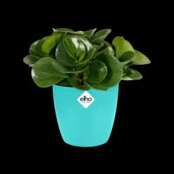 Rond mini 9,5cm|ohgreen New