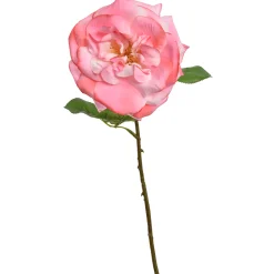 Roos roze 45 cm|ohgreen Best