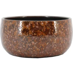 Schaal bejo|ohgreen Clearance