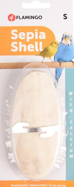 Sepia schelp op kaart 11cm 2st|ohgreen Clearance