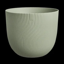 Sereh rond|ohgreen Discount