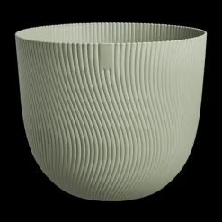 Sereh rond|ohgreen Outlet