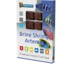 Sf artemia 100 gram|ohgreen Clearance
