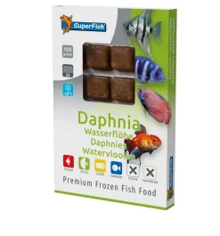 Sf daphnia 100 gram|ohgreen Clearance