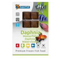 Sf daphnia 100 gram|ohgreen Clearance