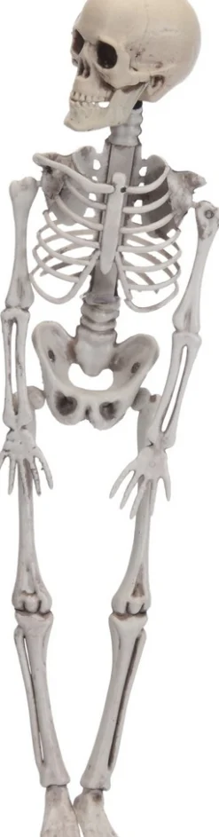 Skelet decoratie|ohgreen Outlet