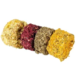 Snack|ohgreen Outlet