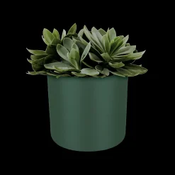 SOFT ROND 14CM BLAD GROEN|ohgreen Hot