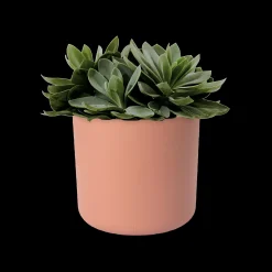 SOFT ROND 14CM DELICAAT ROZE|ohgreen Outlet