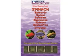 Spinazie 100g|ohgreen Hot