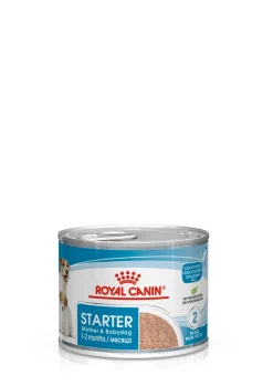Starter mousse mother & babydog 195g|ohgreen Sale