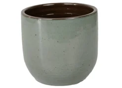 Suka pot glans|ohgreen Best