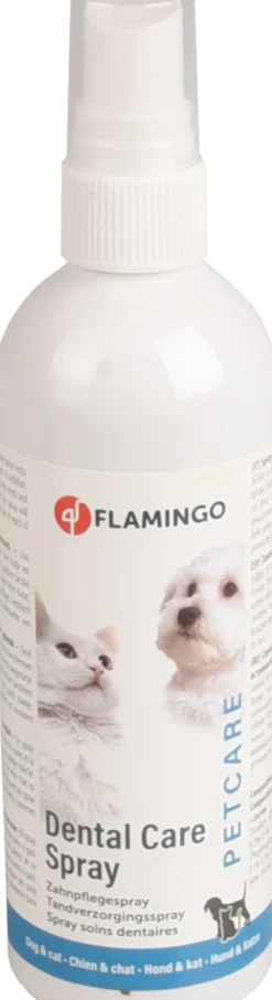 Tandverzorgingsspray munt -  spray|ohgreen