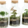 Terrarium|ohgreen