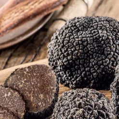 Terrine met zwarte truffelsap aromatisé|ohgreen Sale