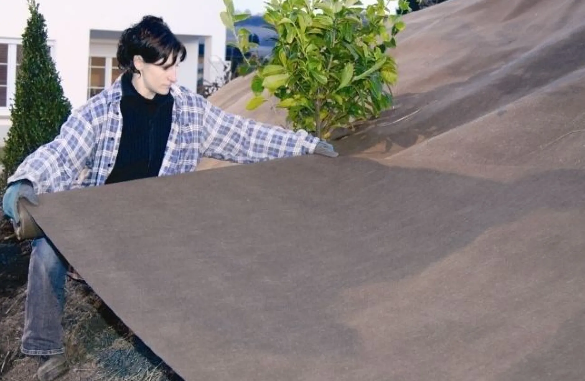 Tuindoek gold 1,15x10m 125g/m²|ohgreen Online